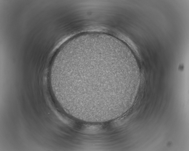 X0000116870155201002021134