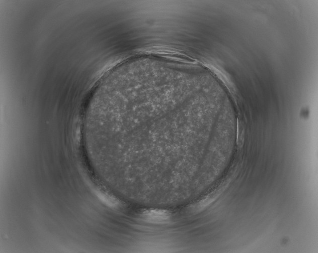 X0000116870157201002021134