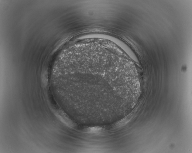 X0000116870158201002021134