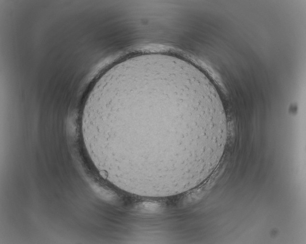 X0000116870159201002021134