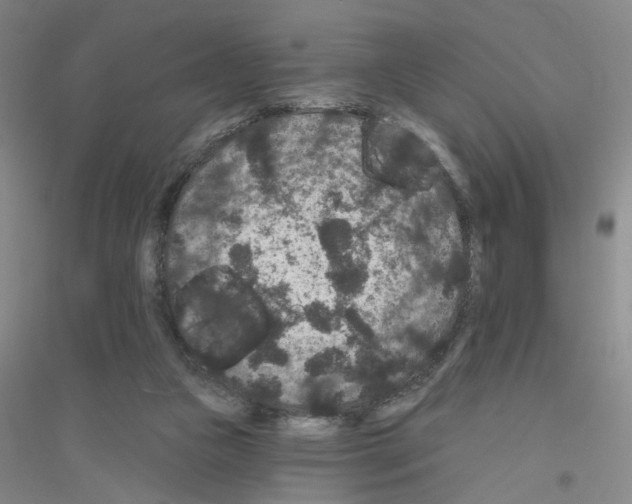 X0000116870161201002021134