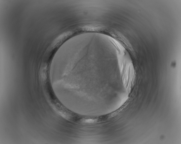 X0000116870163201002021134