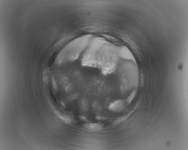 X0000116870165201002021134