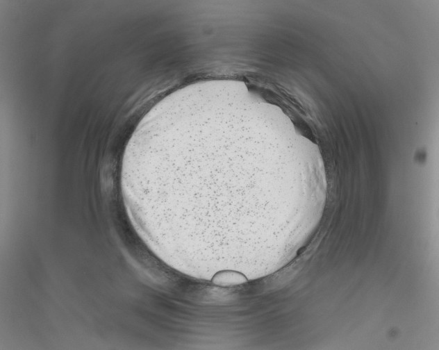 X0000116870166201002021134