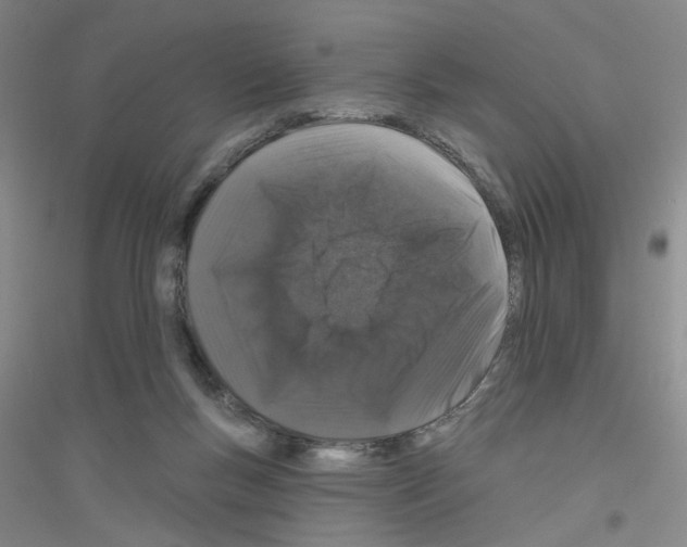 X0000116870167201002021134