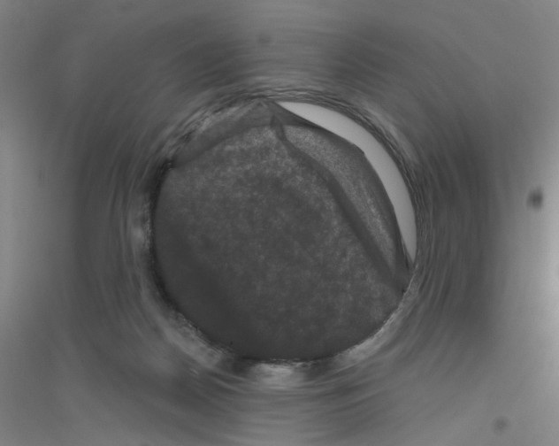 X0000116870170201002021135