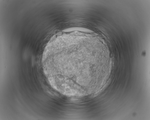X0000116870171201002021135