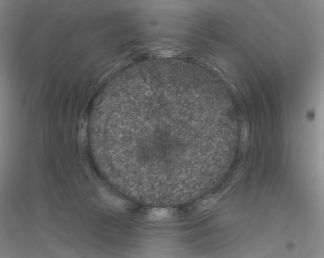 X0000116870177201002021135