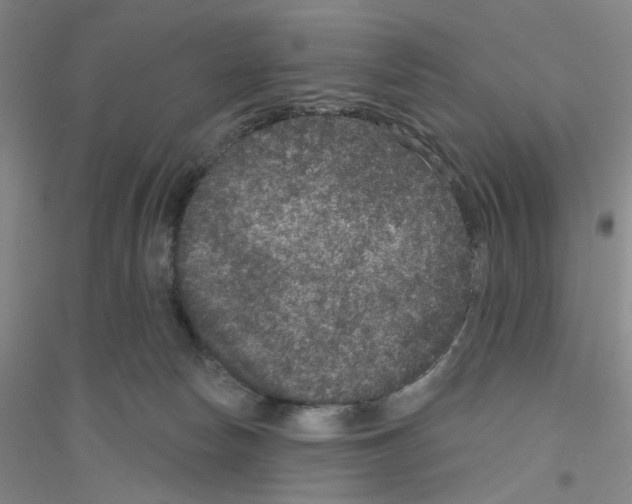 X0000116870178201002021135