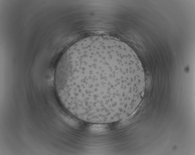 X0000116870179201002021135