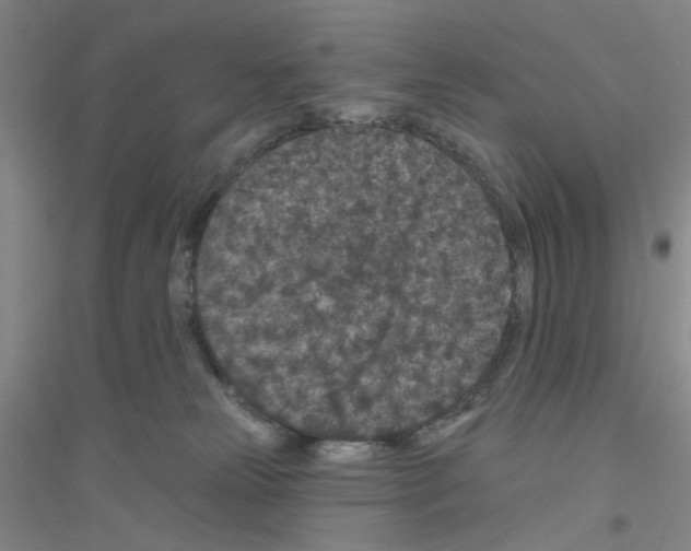 X0000116870181201002021135