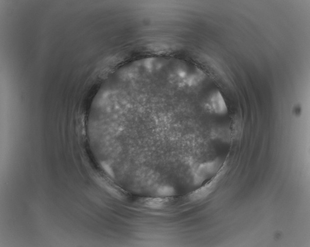 X0000116870182201002021135