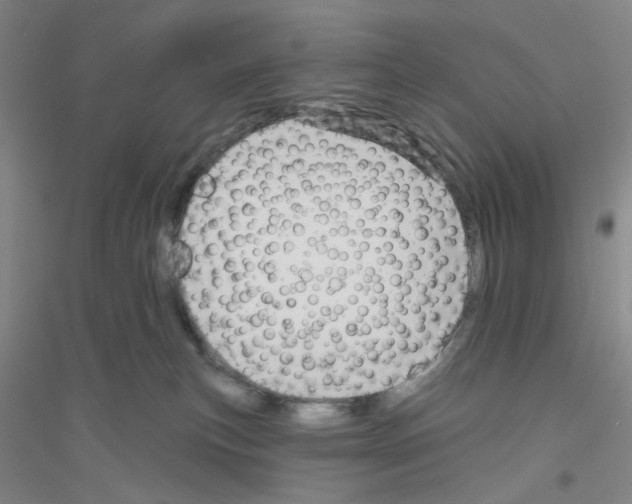 X0000116870183201002021135
