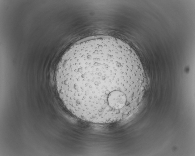 X0000116870187201002021135