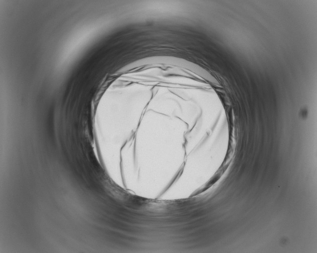 X0000116870190201002021135