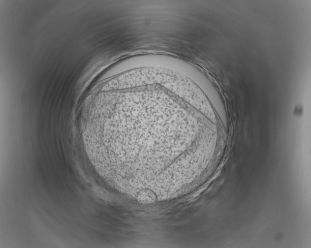 X0000116870194201002021134