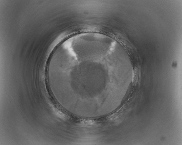 X0000116870195201002021134