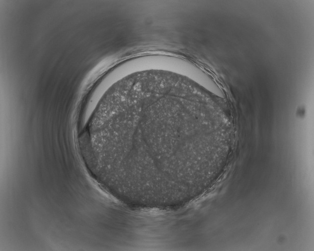 X0000116870197201002021134