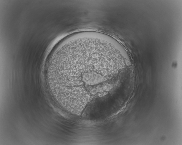 X0000116870200201002021134