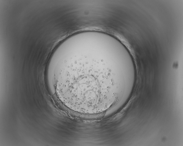 X0000116870201201002021134