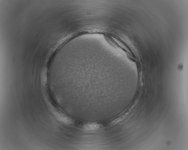 X0000116870202201002021134