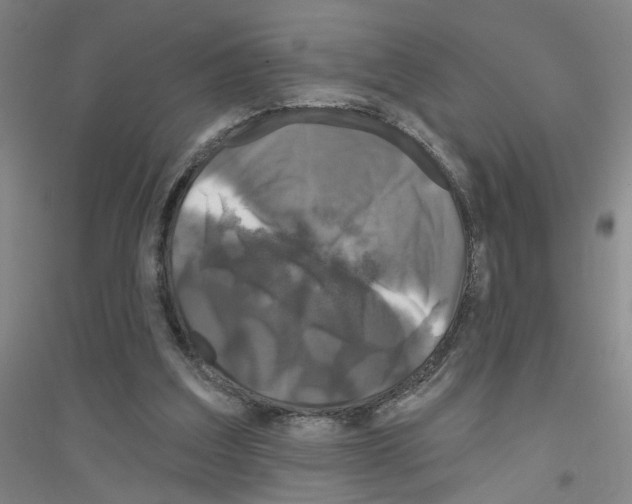 X0000116870203201002021134