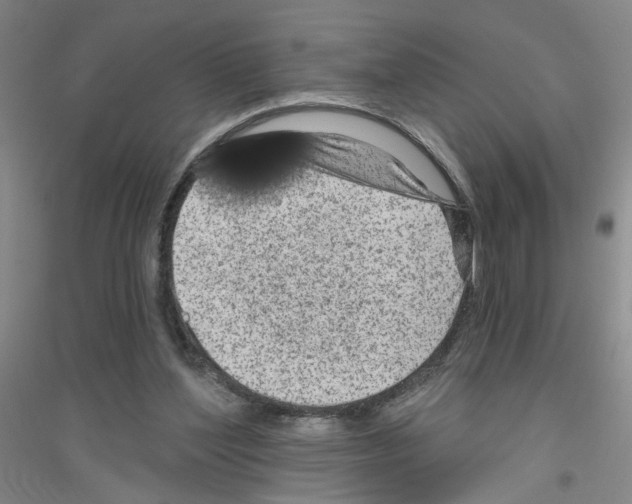X0000116870204201002021134