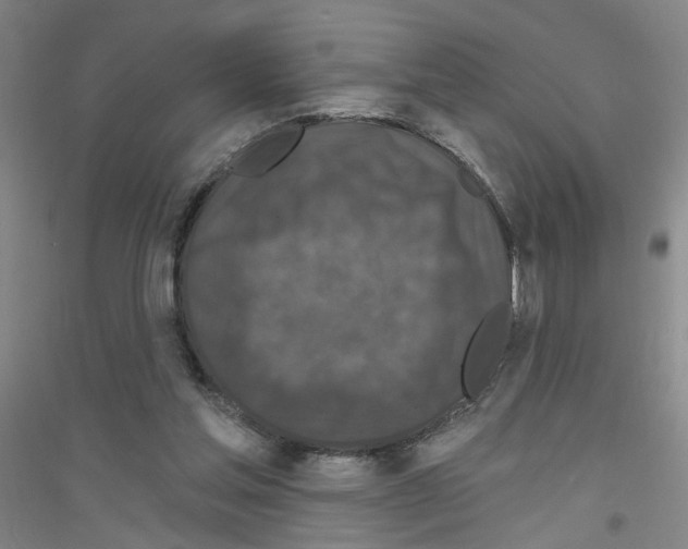 X0000116870205201002021134