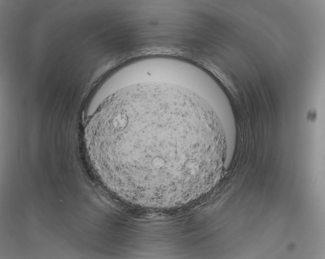 X0000116870207201002021134