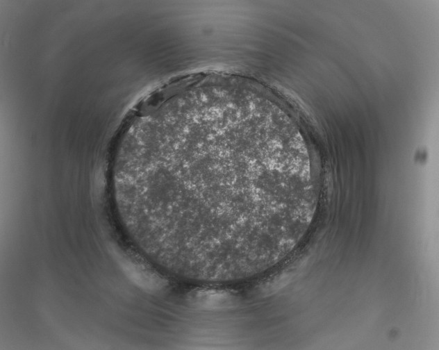 X0000116870208201002021134
