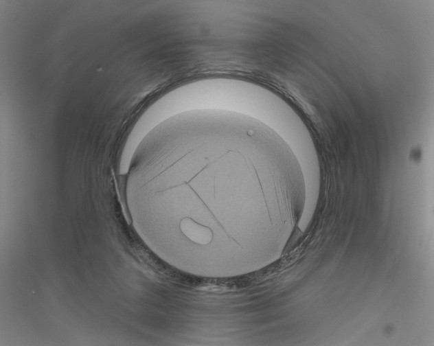 X0000116870211201002021134