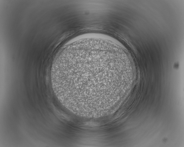 X0000116870212201002021134