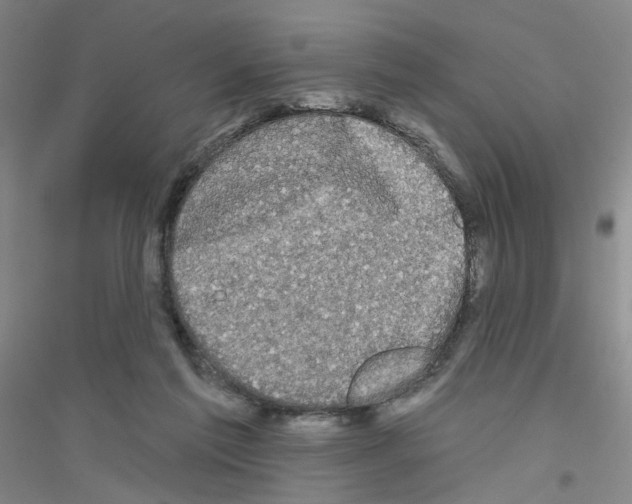 X0000116870213201002021134
