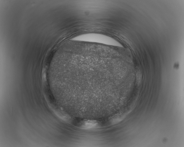 X0000116870214201002021134