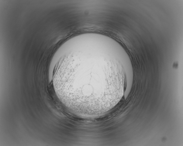 X0000116870215201002021134
