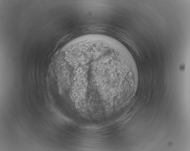 X0000116870216201002021134