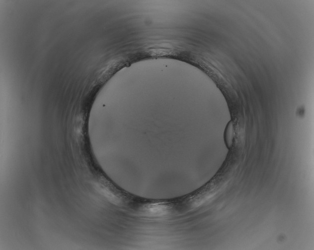 X0000116870219201002021134
