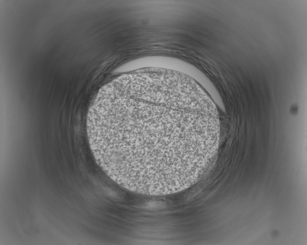 X0000116870220201002021134