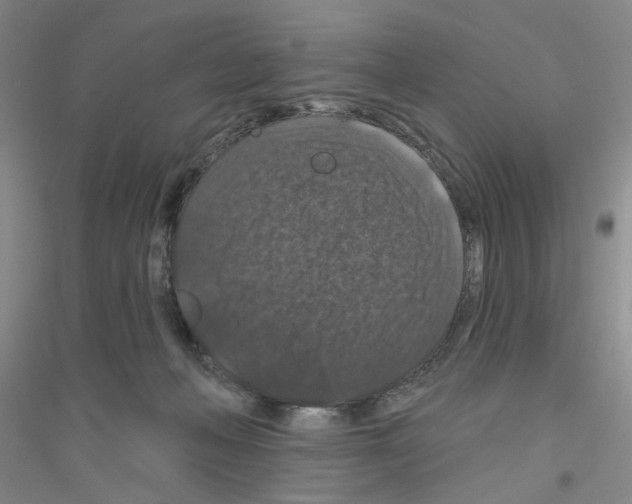 X0000116870222201002021134