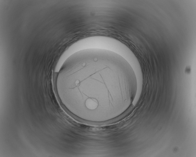 X0000116870223201002021134
