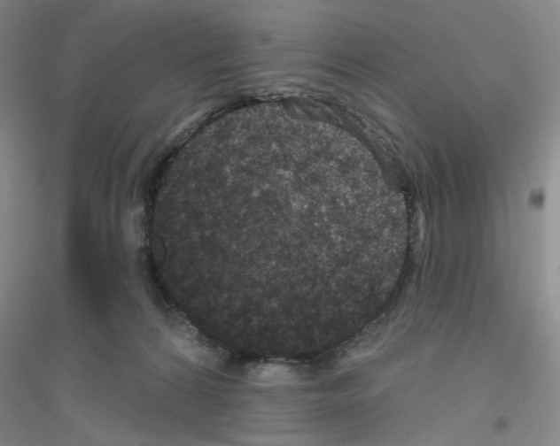 X0000116870224201002021134