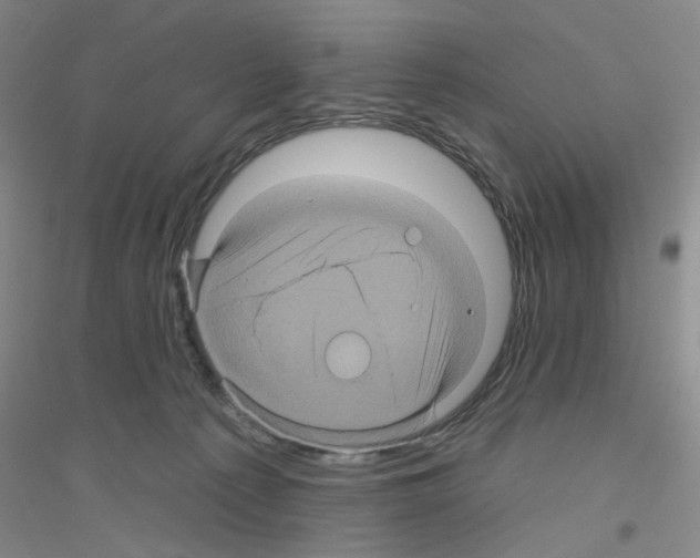 X0000116870225201002021134
