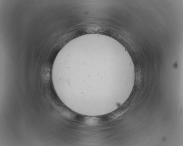 X0000116870226201002021134