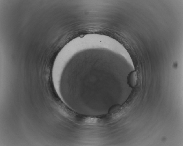 X0000116870227201002021134