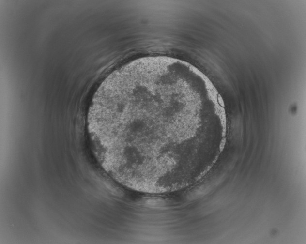 X0000116870228201002021134