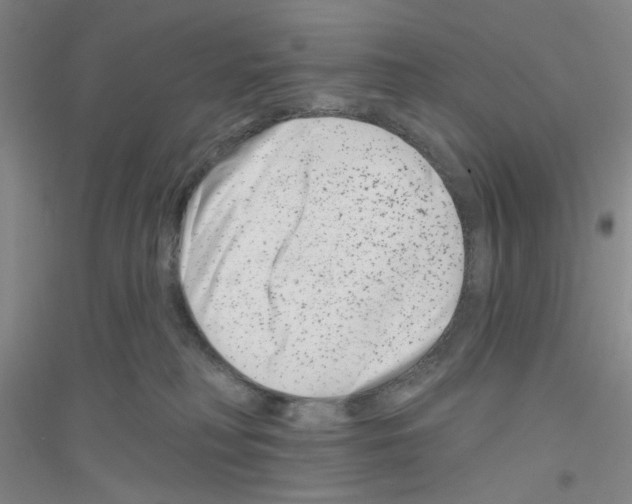 X0000116870230201002021134