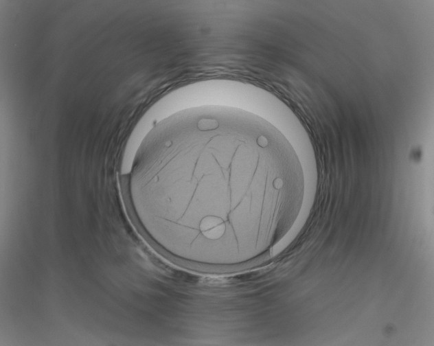 X0000116870231201002021134