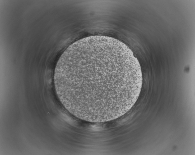 X0000116870232201002021134