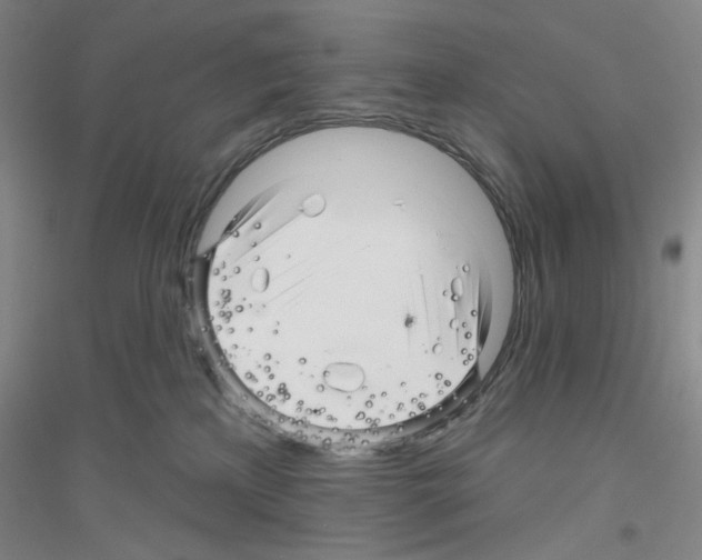 X0000116870233201002021134