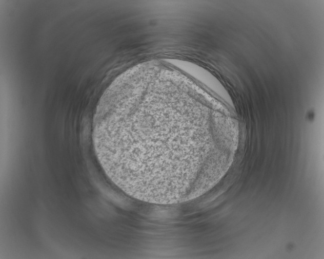 X0000116870234201002021134